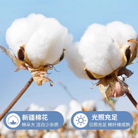 无印良品四件套纯棉全棉床单被套2025新款床笠被罩床上用品三件套