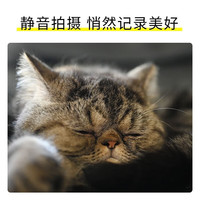 尼康（Nikon）【国行带票】Z63专业级全画幅微单相机 4K高清视频 VLOG 数码 尼康 Z63 全新官方正品国行 尼康Z63(24-70f4)（官方标配） 官方标配