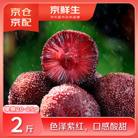仙居杨梅 京鲜生 浙江仙居东魁杨梅 净重2斤 4A贡品级 单果20-25g 生鲜水果