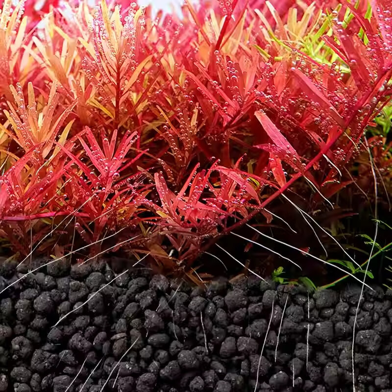 尼特利二代水草泥鱼缸水藻泥生态草缸底砂营养土9L/袋