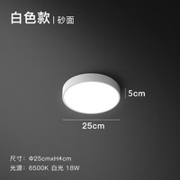 设计师的灯 黑白圆形吸顶灯 LED调光吸顶灯 25CM 白色
