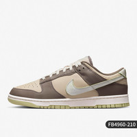 NIKE 耐克 Dunk 男款板鞋 FB4960-210