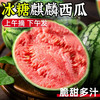 蒲恋 麒麟西瓜新鲜水果当季现摘8424脆甜多汁整箱 净重8-10斤丨气泡柱纸箱/更