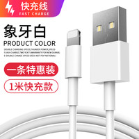 iWosty 适用苹果快充数据线1条装