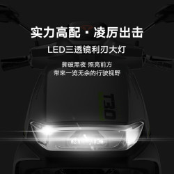 雅迪 冠能T30s电动自行车长续航男女电瓶车 新国标通勤代步电动车 颜色到店自选