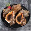 味优福 大海螺 鲜活发货 一斤5-6个