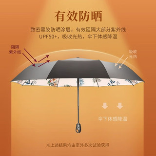 天堂伞遮阳伞防晒伞太阳伞黑胶防晒防紫外线晴雨伞ins系女 自动款茶绿