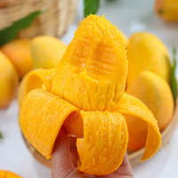 橙尚宫海南小台农芒果新鲜小台芒当季特产热带水果现摘鸡蛋芒果整箱 净重5斤【单果100g+】精选装