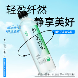 依能 无糖弱碱性苏打水 pH7.6±0.5 饮用水500*12瓶
