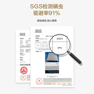 梦洁家纺 93%泰国乳胶枕芯 40*60cm 高8/10cm