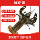 移动端、京东百亿补贴：鲜京采波士顿龙虾波龙净重450-550g/只