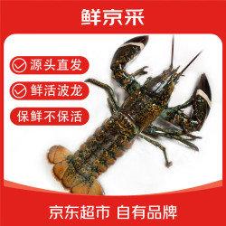 鲜京采波士顿龙虾波龙净重450-550g/只