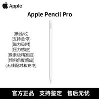 苹果 Apple Pencil Pro(2D3)磁吸触控笔手写笔绘画适用于24款平板