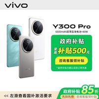 百亿补贴：vivo Y300 Pro 5G手机