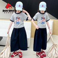 愤怒的小鸟 ANGRY BIRDS 女童夏装套装2025新款女孩休闲印花T恤儿童夏季薄款阔