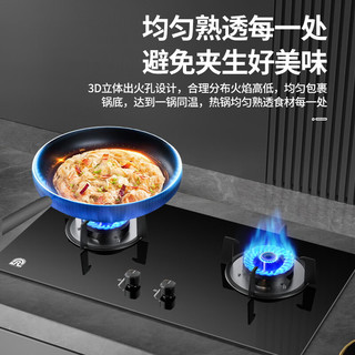 容声燃气灶天然气煤气灶双灶猛火家用5.2KW嵌入式台式灶具一级能效大火力JZT-RLB4T
