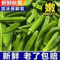 蜜蜜小果 新鲜秋葵现摘蔬菜 3斤
