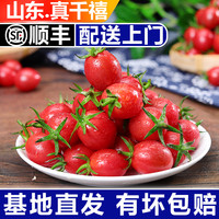 蜜蜜小果 新鲜千禧现摘圣女果小番茄 3斤