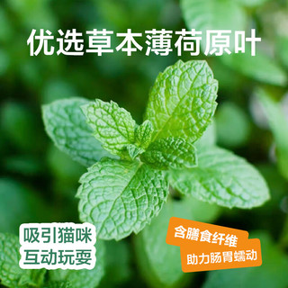 网易严选 猫薄荷小鱼饼干 幼猫零食成猫饼干 吐毛球逗猫零食洁齿磨牙零食 【鸡肉猫草】 95g*3罐