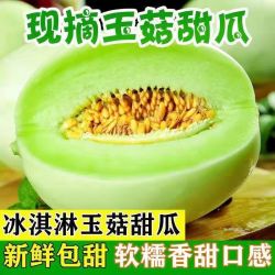 果迎鲜 玉菇甜瓜 新鲜水果 海南冰淇淋香瓜 净果4.5斤