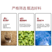  Kaiserdom/凯撒 蜜桃乌龙 茉莉花茶中式小麦茶啤酒