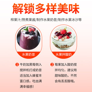 喜德农冷冻新鲜黑莓1kg*1袋速冻锁鲜黑莓水果果汁果酱饮品烘焙店原料 冷冻黑莓1kg