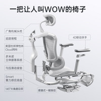 西昊 Doro-C300人体工学椅久坐舒服电脑椅 办公椅子老板椅电竞椅午休椅 C100云+4D