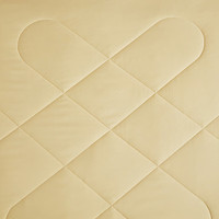 罗莱生活 LUOLAI  蚕丝被子被芯TG丝柔蚕丝辽原栎丝夏凉被普罗旺斯奢爽蚕丝被 “辉煌”A类辽原栎丝™蚕丝被 cm