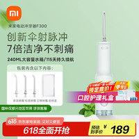 米家 MIJIA F300 冲牙器 绿色