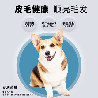 优基 UG低温烘焙狗粮无谷鲜肉全价小中大型成犬幼犬通用犬粮营养皮毛 1.5kg鲜肉烘焙全年龄犬粮