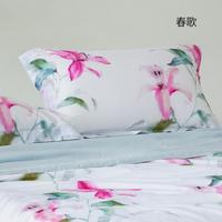 堂皇家纺 TEVEL 60支天丝枕套48x74cm成人一对装高档枕头套