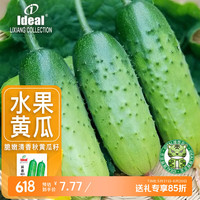 Ideal 理想 水果黄瓜种子 100粒