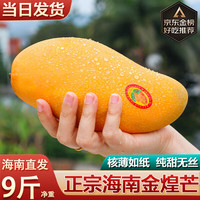 译优农 海南三亚金煌芒果 9.5-10斤大果