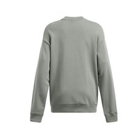 安德玛（UNDERARMOUR） 强森Project Rock女子高克重运动休闲卫衣1386444 粘土绿709 2XL