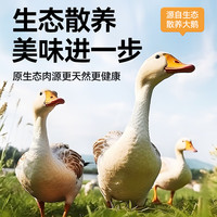 力狼鸭肉梨狗粮 中大小型犬泰迪比熊柯基柴犬边牧成幼犬通用冻干狗粮 【冻干六拼】5斤+狗火腿20支