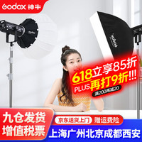 神牛 SL150w三代直播补光灯摄影打光灯柔光灯罩拍摄灯 双灯套装-柔光球+柔光箱 官方标配