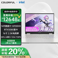 百亿补贴：七彩虹 COLORFUL 隐星G16Pro笔记本电脑i9-14900HX独显5080