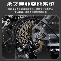 永久山地自行车成人中超轻变速越野单车赛车26寸24寸公路车男女 探险者【云矾白】辐条轮 26寸30速【适合:160-180CM】