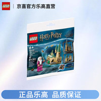 乐高 LEGO 小颗粒积木 30435