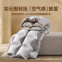 百丽丝水星家纺集团旗下 羽绒被春秋被四季被 鹅毛冬被 控温加厚被芯 抗菌鹅毛四季被-蓝灰色 150cm×210cm