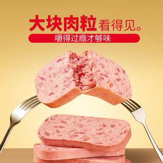 大龙燚黑猪午餐肉210g*2盒共12片肉含量90% 火锅食材休闲零食代餐 黑猪午餐肉2盒共12片