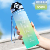 康知缘 Tritan运动水杯 500ml 阿尔卑斯绿