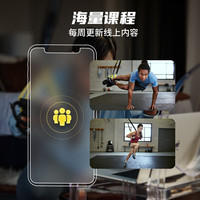 TRX高阶悬挂式训练带专业抗阻训练男女家用拉力带全身力量阻力绳 【TOP1】TRXGO入门款