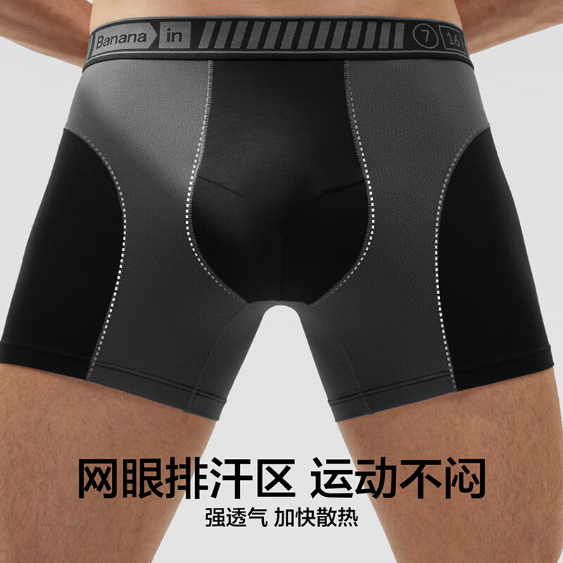 大西洋蓝 1条