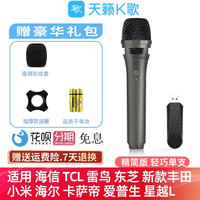天籁K歌 无线麦克风家用适用雷鸟海尔东芝TCL小米海信电视k歌话筒