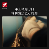 双立人（ZWILLING）Feel系列刀具套装切菜刀水果刀多用切片刀切肉刀厨刀 一帆风顺刀具套装11件套