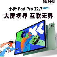 百亿补贴：联想 Lenovo 小新PadPro 2025  8+128G 小青新 平板电脑