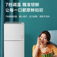 RIPU/日普 XQG156-BF01 一级能效 156L 双门冰箱