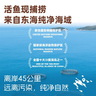 一米八深海大黄鱼三去黄花鱼新鲜冷冻水产东海野养海鱼无抗大黄鱼