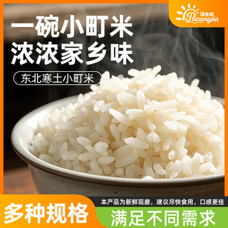 蒲仓佳吉林小町米 东北大米 长白山余脉 【尝鲜装1斤】东北小町米